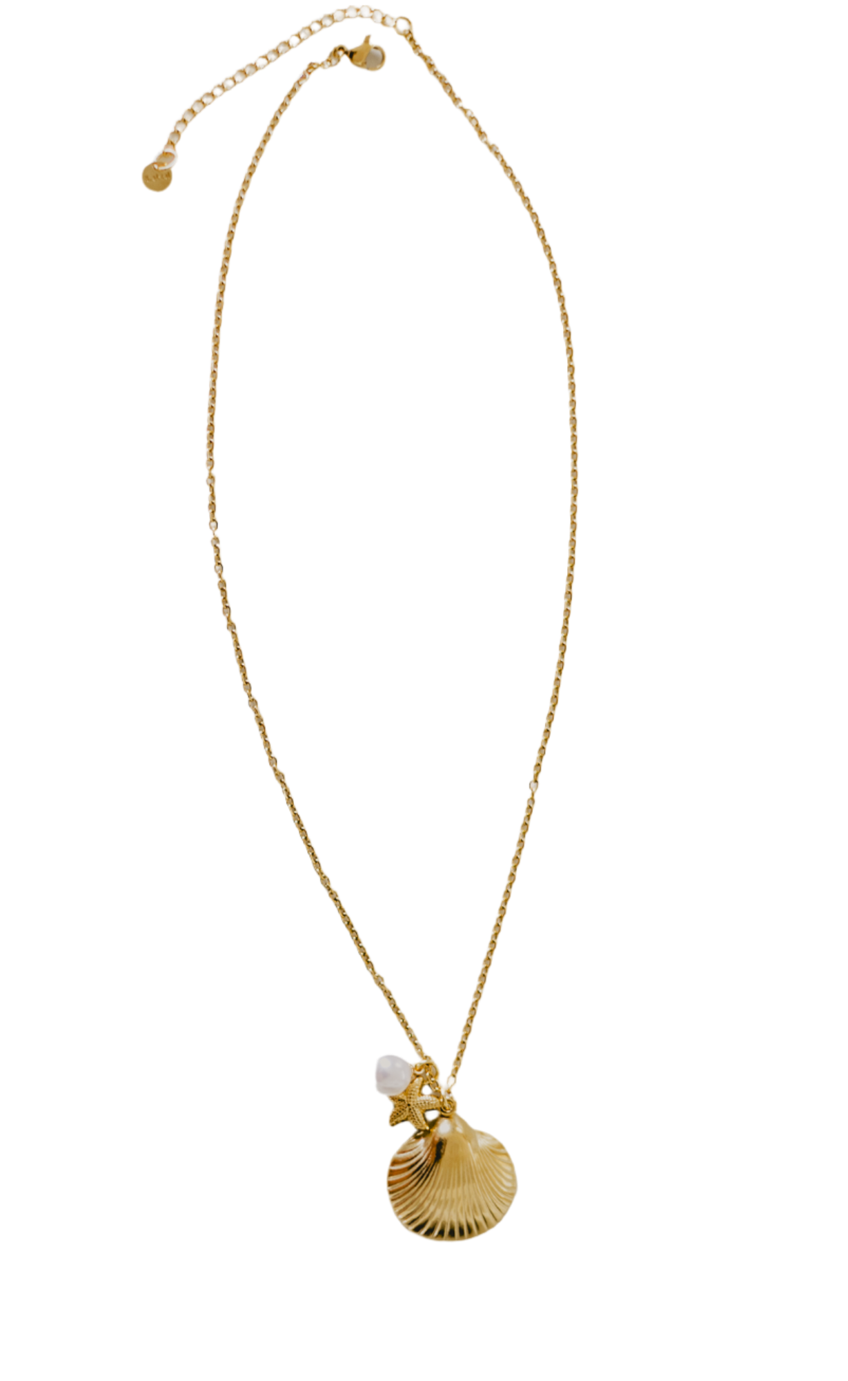 Tropical Treasure